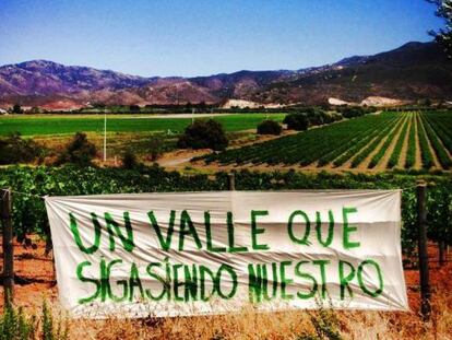 Vista de un vi&ntilde;edo en el Valle de Guadalupe.
