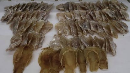 El decomiso de 28 kilos de Totoaba en Hong Kong.