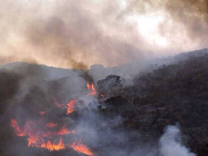 Incendio en las inmediaciones del pantano del Vicario, en una foto de 2005. 