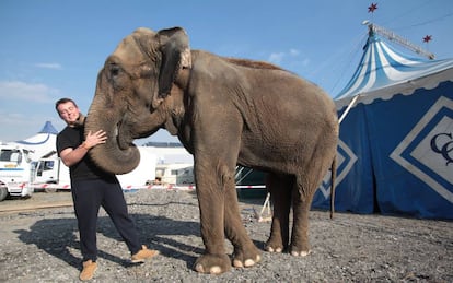 Nacho Pedrera, gerente del Circo Quirós, ayer junto a su elefante.