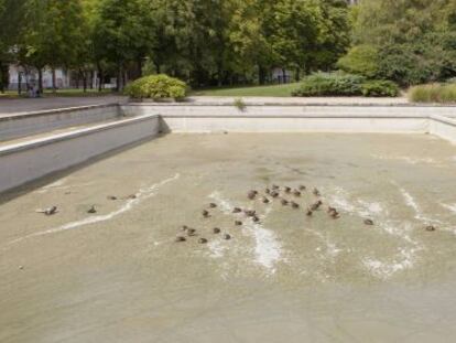 Patos en el parque de Arriaga, de donde se retiraron varias aves.