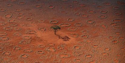 Los círculos de hadas de Namibia, en la imagen.