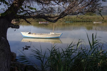 La desembocadura del Júcar es uno de los cada vez más escasos terrenos de valor ecológico que quedan en las costas valenciana. |