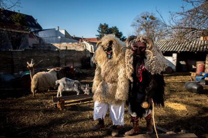 Hombres vestidos con pieles de oveja y máscaras durante el primer día del tradicional carnaval húngaro conocido como carnaval Busho en Mohács (Hungría), el 28 de febrero de 2019.