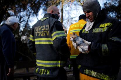 La cadena de incendios que afecta a Israel continúa extendiéndose, los últimos en comunidades del centro y norte del país. En la imagen, un bombero rescata a un gato junto a una zona residencial afectada por los incendios forestales en Haifa (Israel), el 25 de noviembre de 2016.