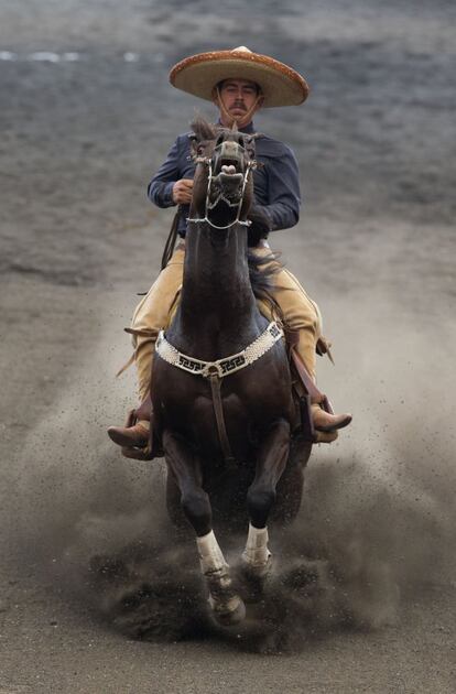 Un charro para a su caballo. "La relación de un jinete con su caballo es como si fueran uno mismo" afirma el charro Fernando Medellín Lea.