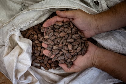 La mayoría de chocolate de la tienda es 'bean to bar', que se hace artesanalmente con cacao de origen seleccionado.