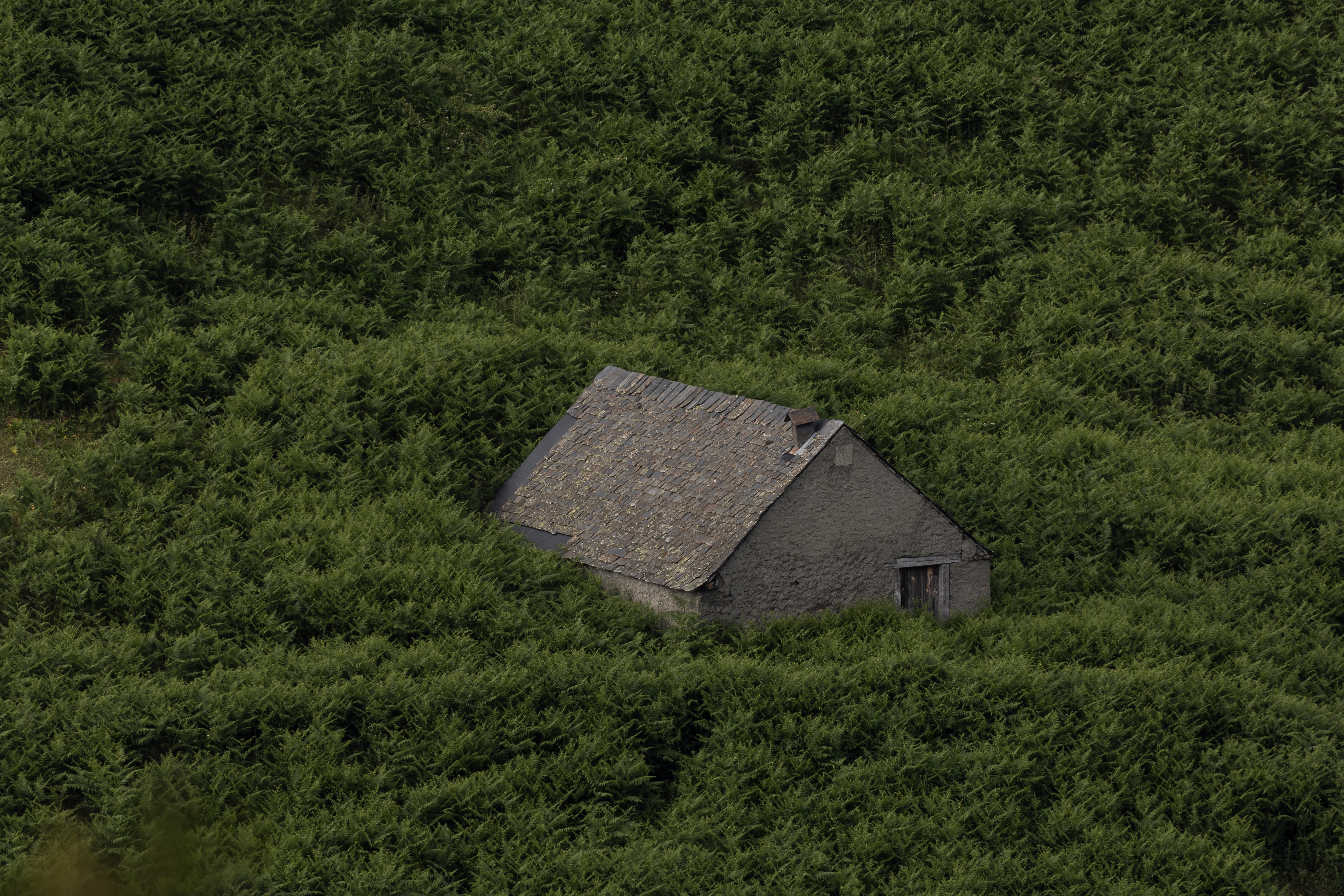 Natura fosca: analisi accademica di Solitud di Elvira Prado‑Fabregat
