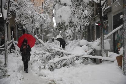 ?rboles cados por el peso de la nieve en la calle de Fuencarral, en el centro de Madrid, el 9 de enero. 'Filomena', el peor temporal en medio siglo, bloque la capital despus de 30 horas de nevadas constantes. Aunque la borrasca se abati sobre toda la Pennsula, los peores efectos se sufrieron en el centro. Pese a los avisos previos, cerca de 1.500 personas quedaron atrapadas en sus coches toda la noche en la Comunidad de Madrid, y muchas de ellas tuvieron que ser rescatadas con la colaboracin del Ejrcito. Solo en la capital, unos 600.000 rboles quedaron da?ados.