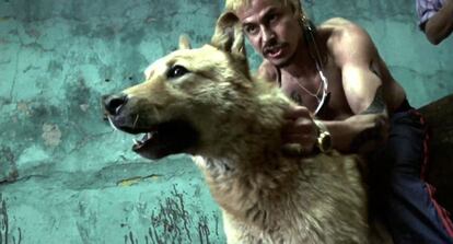 Un fotograma de 'Amores Perros' de Alejandro González Iñárritu.