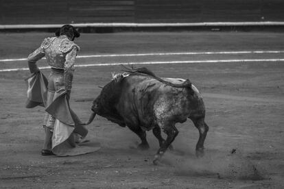 José Tomás, en un pase.