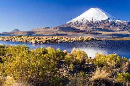 Escalar los 6.893 metros del Ojos del Salado, el volcn ms alto del mundo, no es un reto para todos los pblicos, pero hay muchos otros volcanes (incluso activos) por explorar y ascender en Chile, como el cono perfecto del inactivo Parinacota (en la foto), al norte del altiplano, en la frontera boliviana.