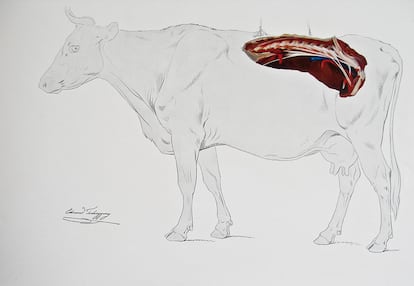 Esta maravilla es un dibujo a mano del <i>Atlas de la anatomía de la especie bovina</i>, obra publicada en 1921.