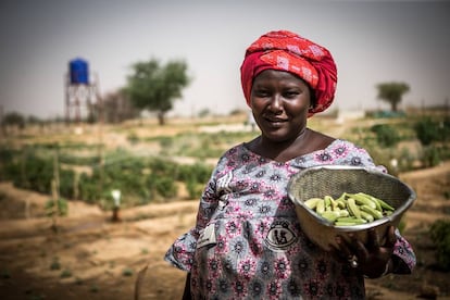 La ONU en Malí implementa un programa de apoyo a campesinas.