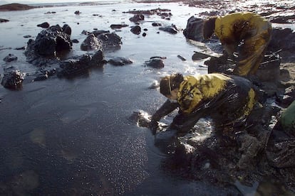 Alumnos de la Escuela Naval Militar de Marín recogiendo chapapote en la playa de Canesol, en la isla de Ons, el 7 de diciembre de 2002 tras el vertido de fuel del petrolero Prestige, que tras accidentarse provocó una marea negra que ha causado una grave catástrofe ecológica en el litoral gallego.