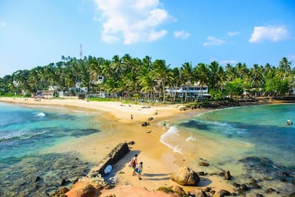 En su día, la gente visitaba las playas del sur de Sri Lanka para tumbarse bajo las palmeras y salir en barco para sumergirse y ver pececitos de cerca. Entonces alguien se dio cuenta de que en las profundidades habitaban especies más grandes, como la mayor criatura del planeta: la ballena azul (eso sin mencionar el cachalote, un pelín más pequeño). Ahora, cada temporada, los barcos salen diariamente desde Mirissa en busca de los cetáceos (www.rajaandthewhales.com). Aunque se pueden avistar todo el año, los mejores meses son de diciembre a abril