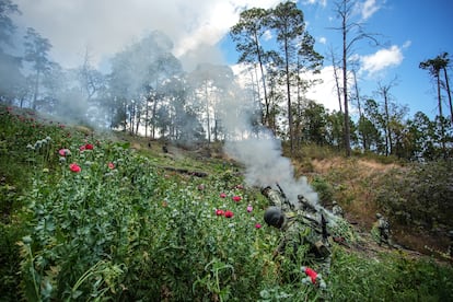 A poppy burning operation in San Miguel Totolalpan.