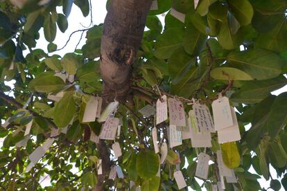 'Wish Tree for Cartagena', de Yoko Ono. Una de las ramas de la obra de la artista japonesa, en la que los cartageneros pueden escribir sus deseos y colgarlos de las ramas del árbol.