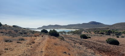 Los Genoveses beach in Cabo de Gata (Almería)
