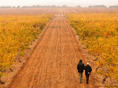 Dos personajes de <i>Gran reserva</i> pasean entre viñedos riojanos, en una escena de la serie.