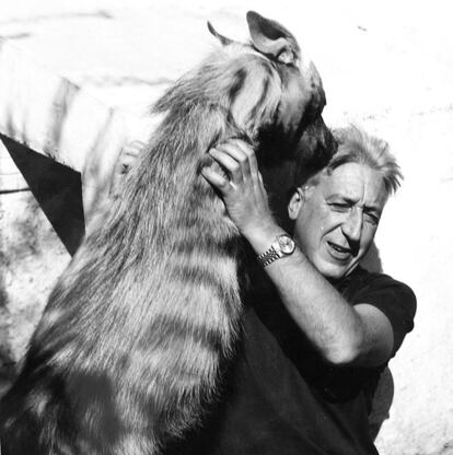 José Antonio Valverde, fundador de la Estación Biológica de Doñana, con la hiena que tenía de mascota en Doñana.