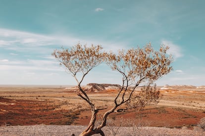 Las vistas de Coober Pedy.