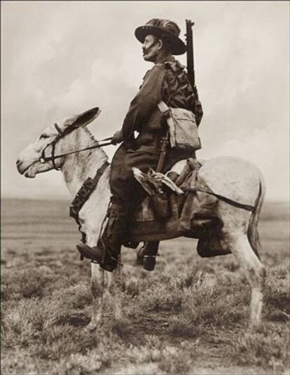 Un jinete de la caballería ligera australiana a lomos de una mula durante la campaña de Palestina.