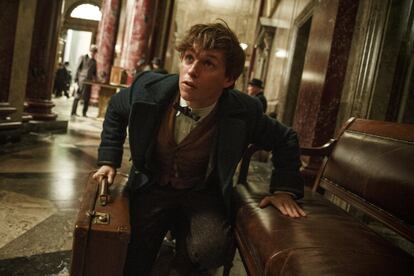 Animales fantásticos y dónde encontrarlos, de David Yates