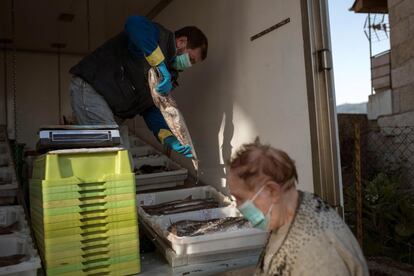 Gerónimo Vázquez reparte pescado en Beade (Ourense), durante el aislamiento para frenar el avance del coronavirus.