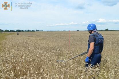 Rusia y Ucrania son grandes potencias agrícolas, y su trigo, maíz y girasol, en particular, abastecen el mercado mundial. Se calcula que entre 20 y 25 millones de toneladas de granos han estado bloqueadas en los puertos ucranios desde el inicio de la invasión el 24 de febrero, lo que disparó los precios. En la imagen, un miembro del Servicio Estatal de Emergencias inspecciona un campo de trigo en busca de minas y proyectiles sin explotar, en la región de Chernihiv.
