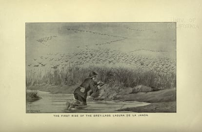 Grabado de 1895 en el que se aprecia la laguna de La Janda (Cádiz) aún con agua, recogido en el libro 'Ornitología del Estrecho de Gibraltar'