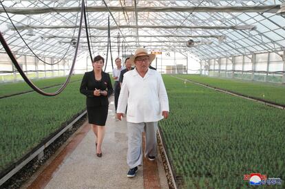 El líder norcoreano Kim Jong Un brinda orientación sobre el terreno cuando visita una vivero en la provincia de Kangwon 