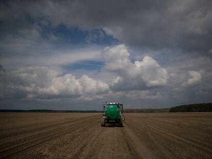 Vista de un campo de cultivo en una carretera en las inmediaciones de Kiev, el pasado 27 de abril.
