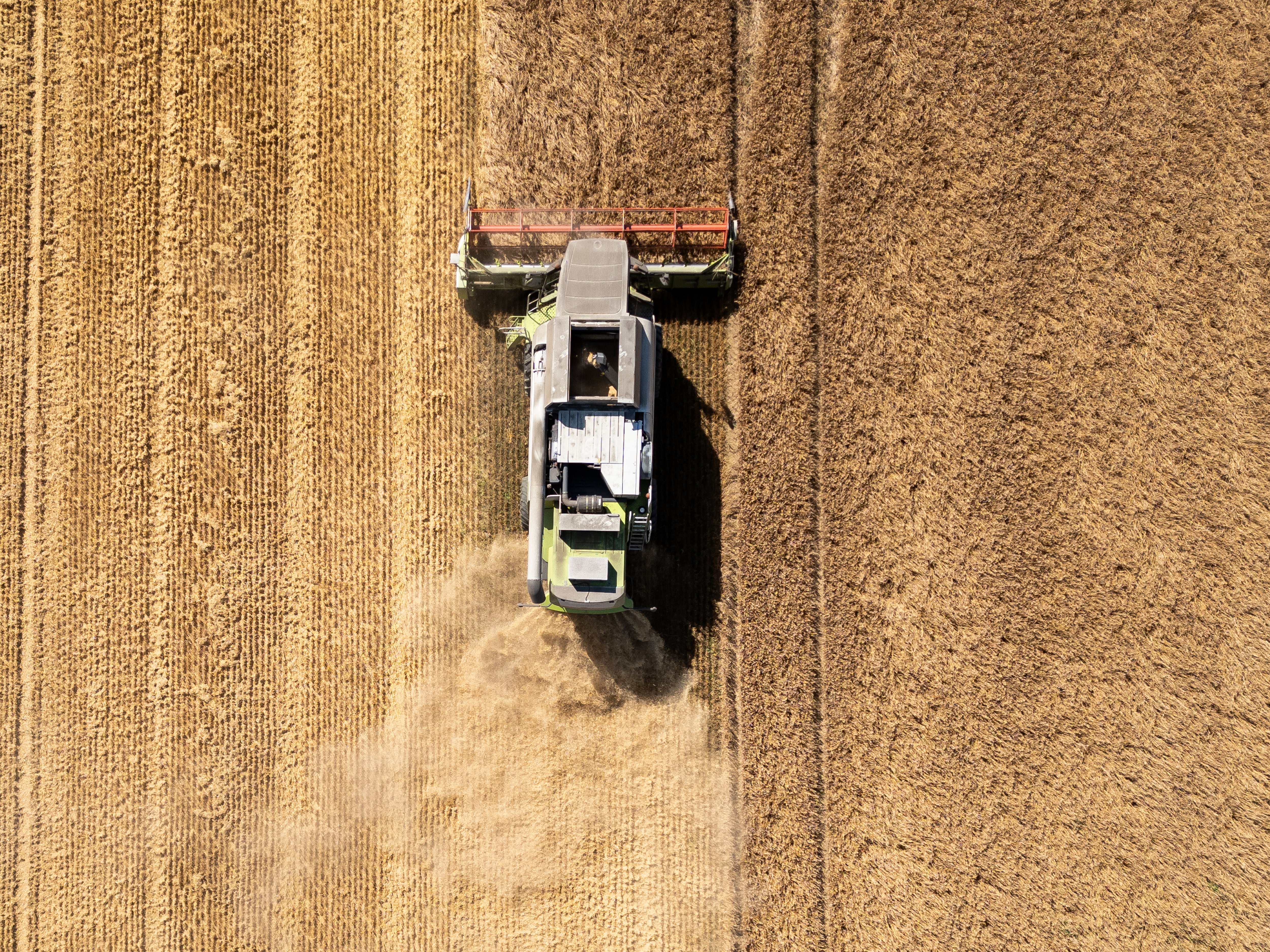 Los gigantes que mueven los hilos del sector agrícola y fijan el precio de la cesta de la compra