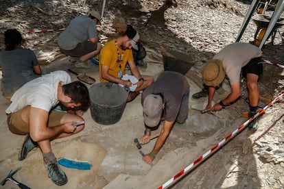 El equipo de trabajo en la Cata Botánicos se esmera en extraer capas de sedimento fosilizado con el objetivo de documentarlas y elaborar bases de datos para el posterior estudio.