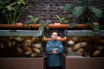 Diego Gallegos