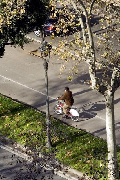Un ciclista circula por el carril bici de la Diagonal.