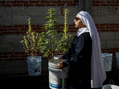 Una monja del grupo 'Hermanas del Valle' carga una planta de marihuana en México, en septiembre de 2023.