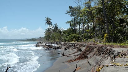 El mar avanza sobre el Parque Nacional de Cahuita, en el Caribe costarricense.