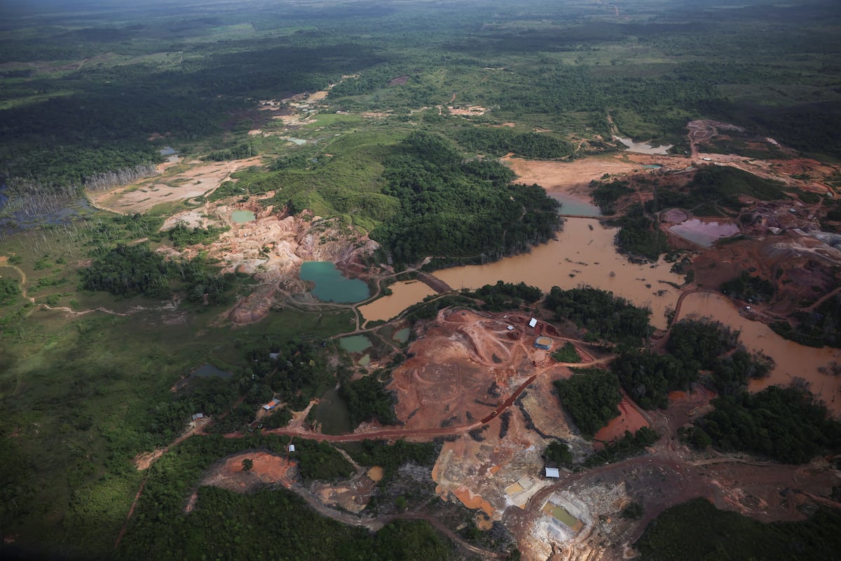 Fiebre minera en la Amazonia: el precio del progreso debe estar en ...