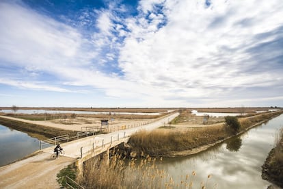 Aspecto del Delta del Ebre, campo de estudio del ensayo de Gabi Martínez que ha recibido la beca-premio de la librería Finestres de Barcelona.