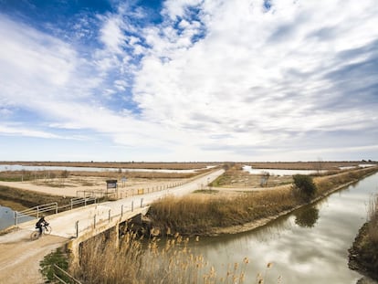 Aspecto del Delta del Ebre, campo de estudio del ensayo de Gabi Martínez que ha recibido la beca-premio de la librería Finestres de Barcelona.