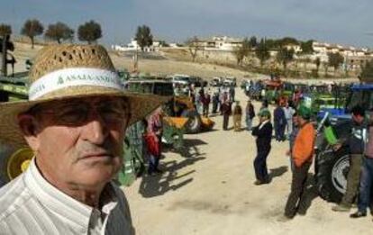 Agricultores en Torredelcampo (Jaén).