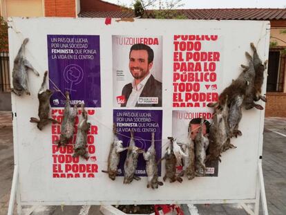 Conejos colgados en el espacio electoral de Unidas Podemos en la localidad toledana de La Puebla de Almoradiel.