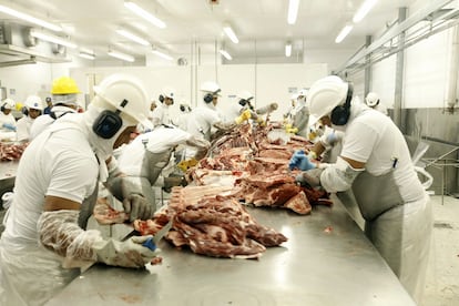 Producción de carne en Brasil