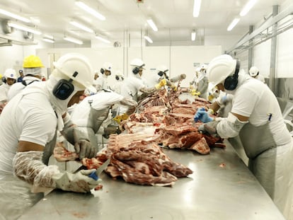 Producción de carne en Brasil