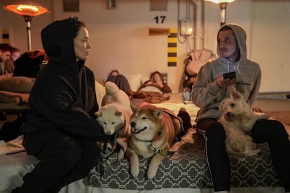 Una pareja y sus mascotas pasan la noche en un refugio subterráneo en Kiev.