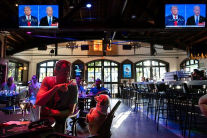 A man with his dog follows the debate in a bar in Hollywood (California).