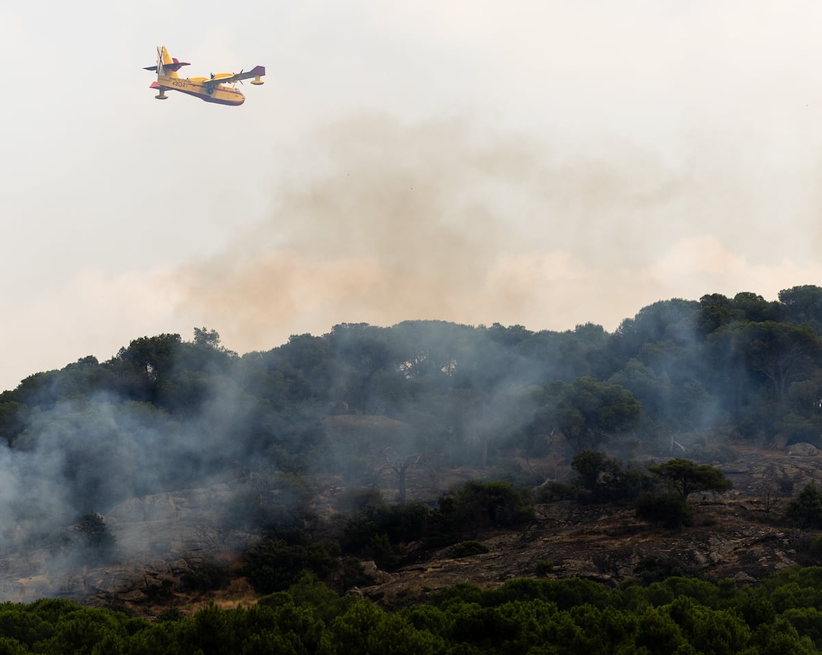 Solo uno de los 14 hidroaviones apagafuegos que opera el Ejército del Aire ha sido comprado por el PP