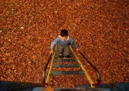 Un niño sube una escalera de un columpio en un parque cubierto con hojas caídas, en Srinagar (India), el 13 de noviembre de 2018.